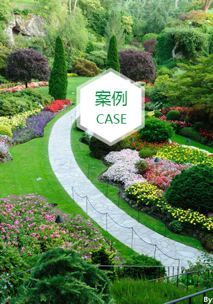 室外假山 室外假山